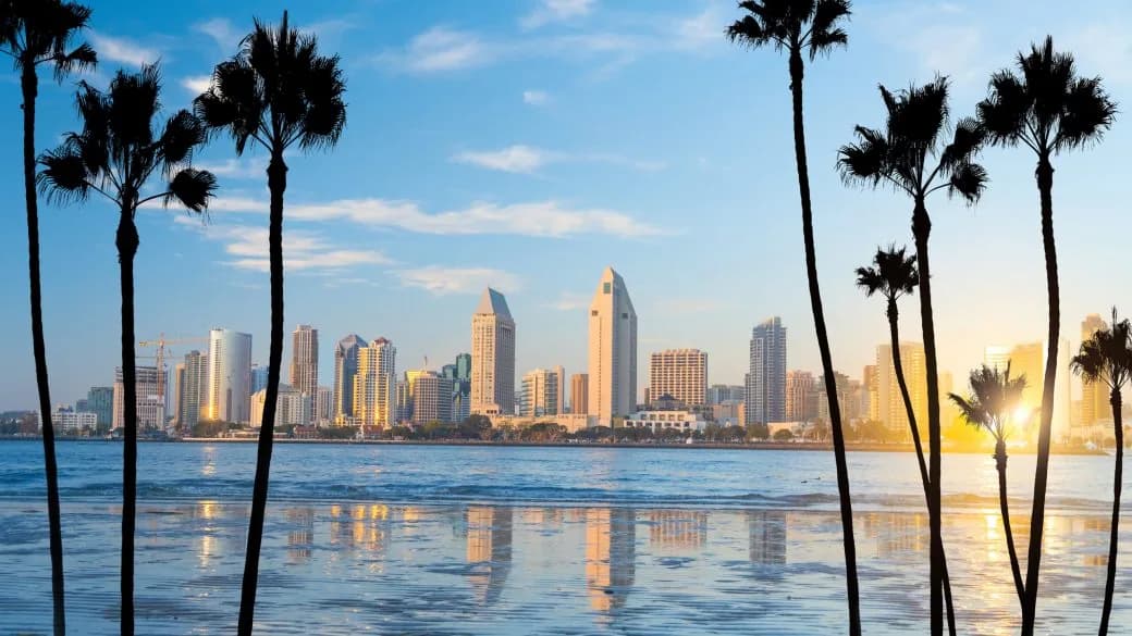 Palm trees silhouetted against a coastal city skyline at sunset.